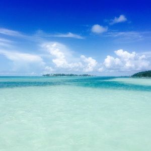 Meet your Posher, Trista